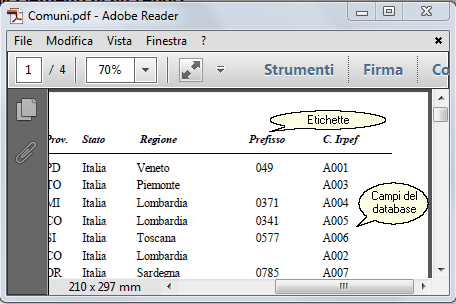 Elementi del report
