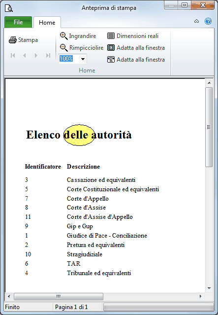 Anteprima e salvataggio report